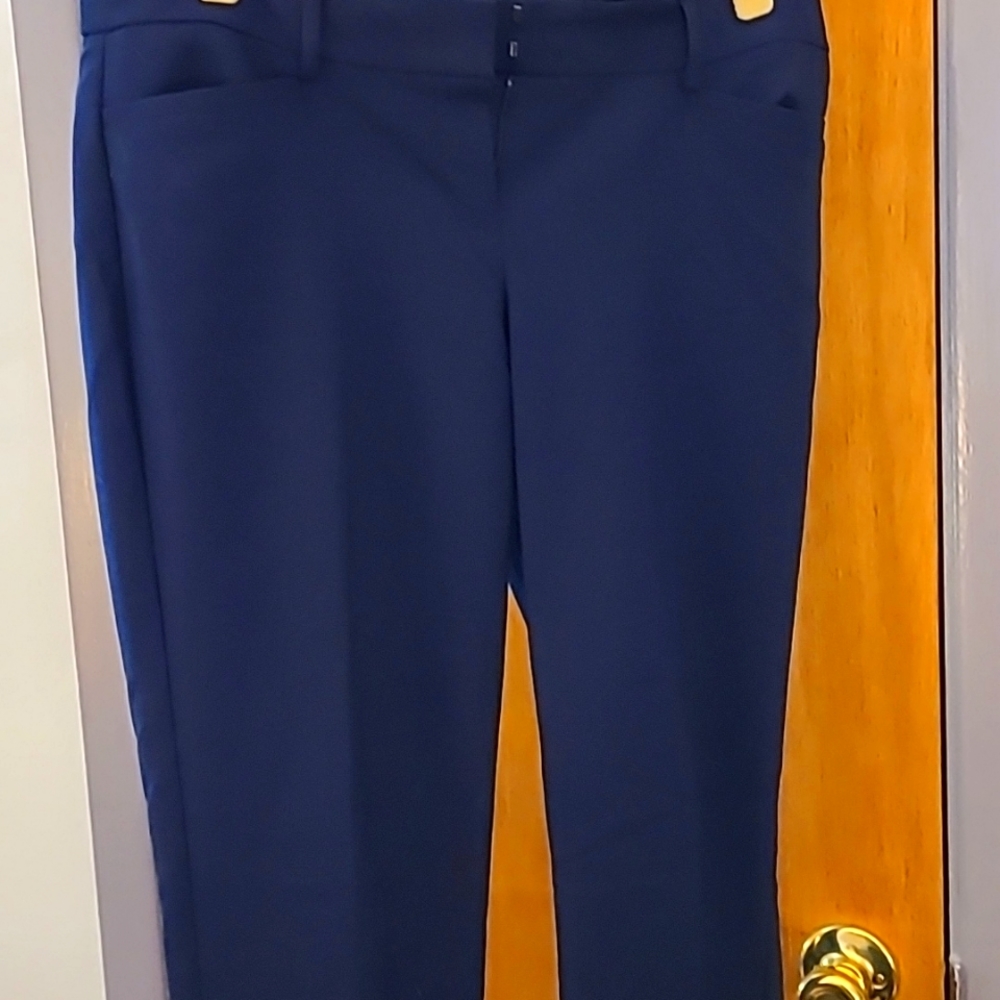 Womens Express dress pants